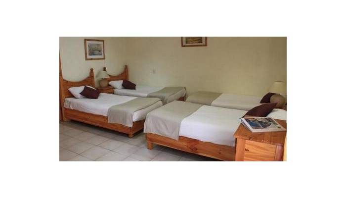 Hotel Plevna poza 19