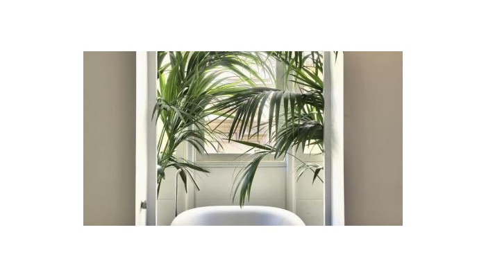Poza pentru Hotel Casa Ellul 812-1462493322 Hotel Casa Ellul poza 29
